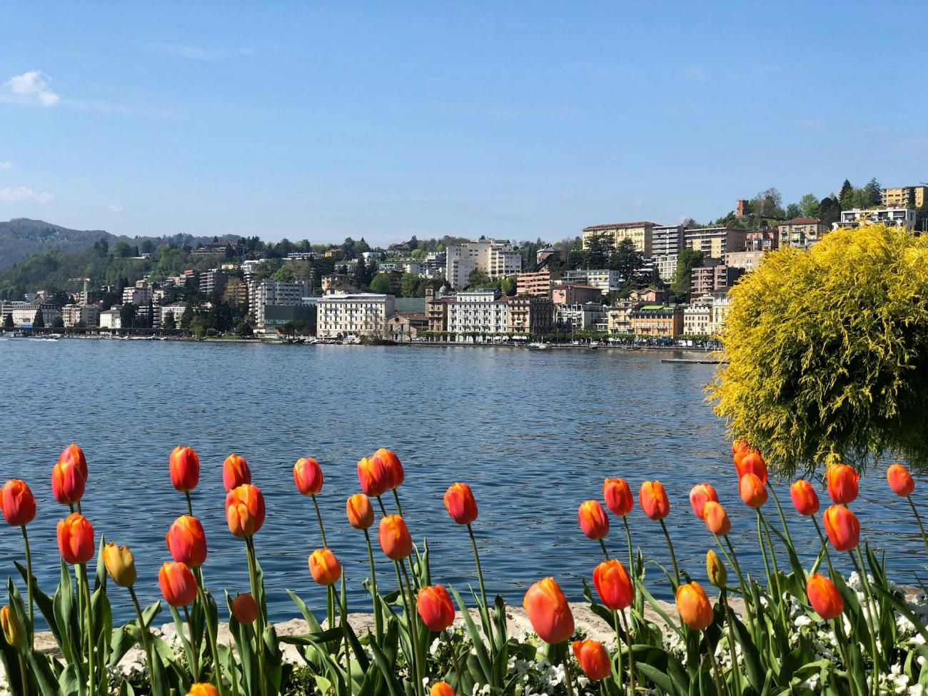 : Nur ein Tag in Lugano? Das sind die drei unverzichtbaren Sehenswürdigkeiten