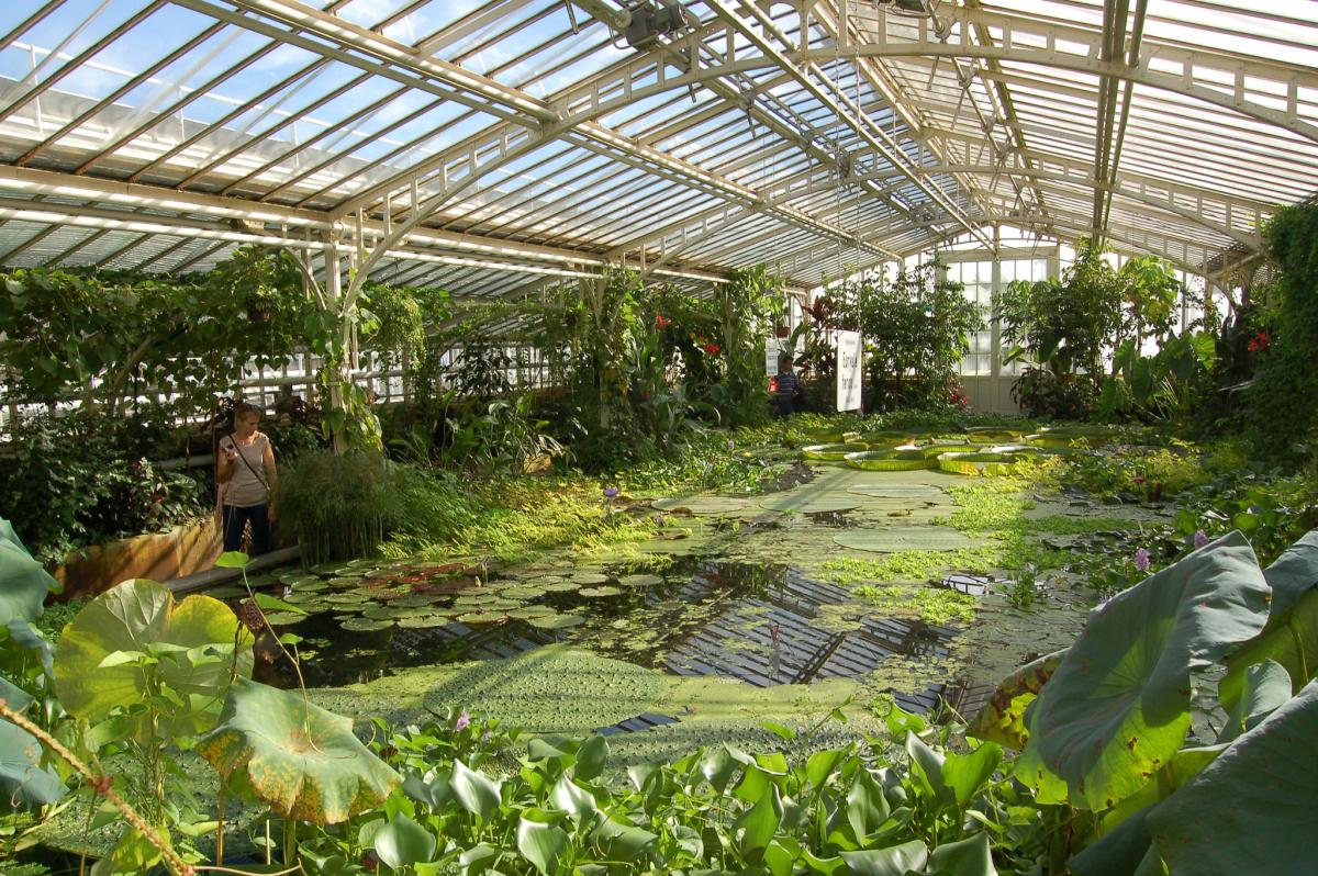 Botanischer Garten