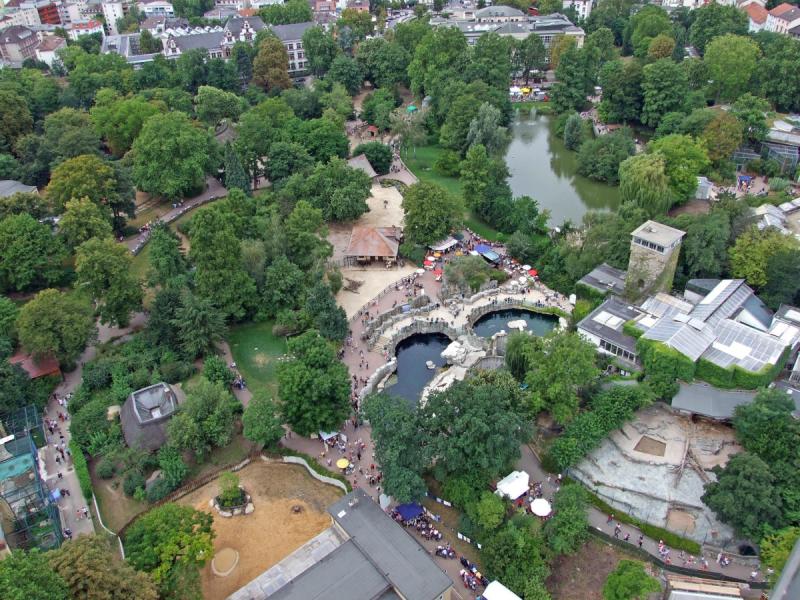 Zoo Frankfurt