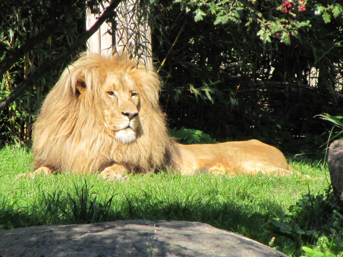 Zoo Leipzig