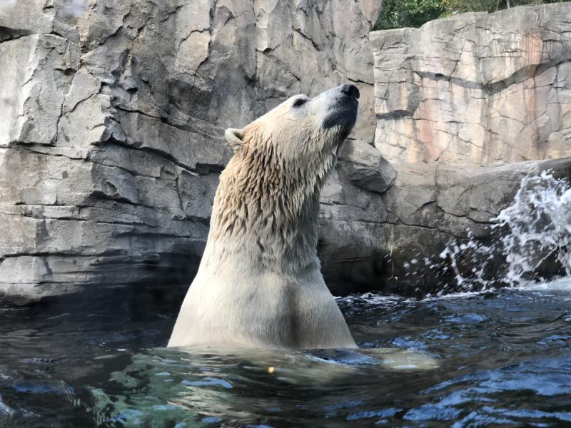 Zoo Hannover