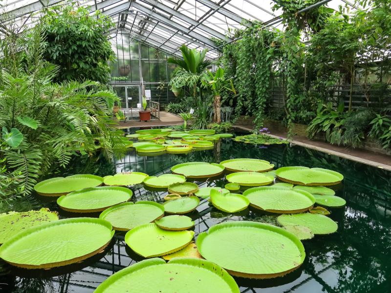 Botanischer Garten Bonn