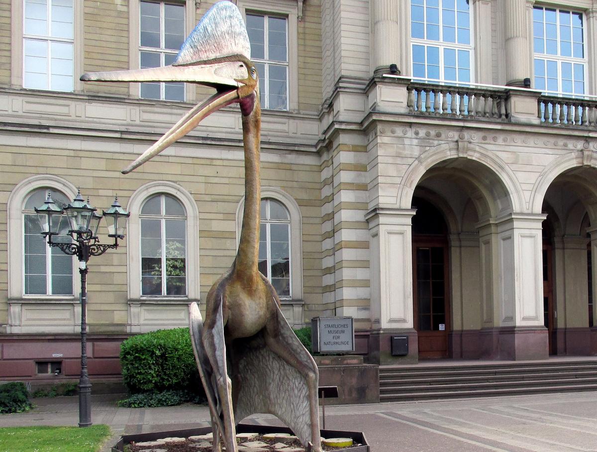 Naturkundemuseum Karlsruhe