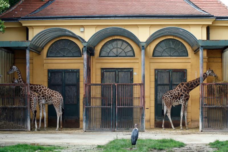 Tiergarten Schönbrunn