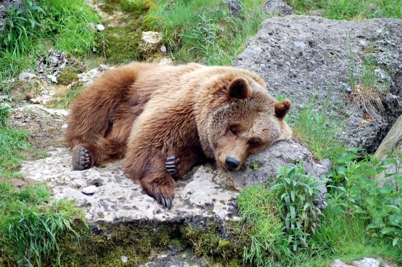 Salzburger Zoo