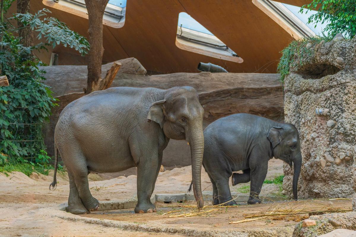 Zoo Zürich