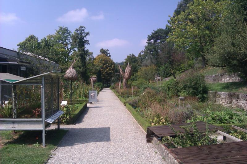 Jardin Botanique