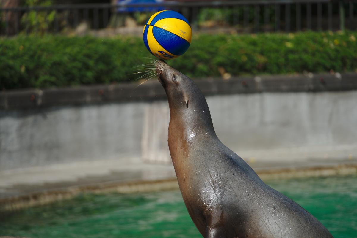 Kölner Zoo