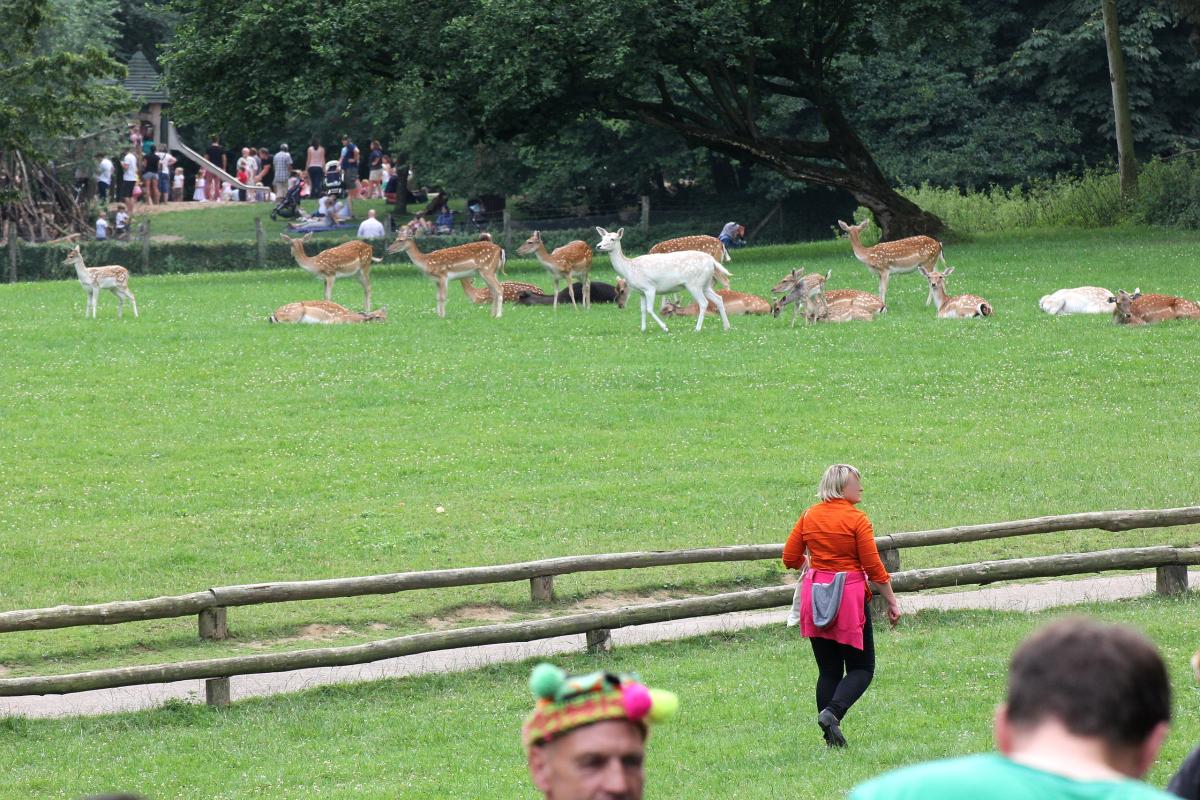 Wildpark Grafenberg