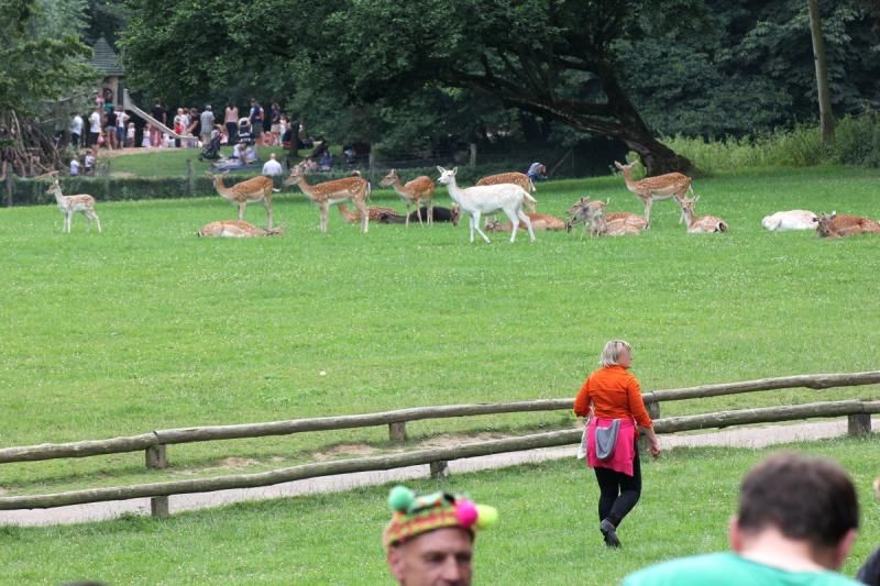 Wildpark Grafenberg